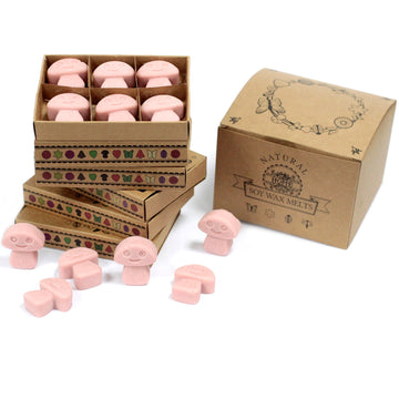 Box of 6 Wax Melts - Coffee Trader - Hira Online